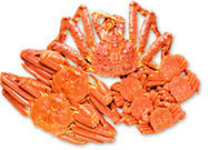 短い秋を、カニで締める。
